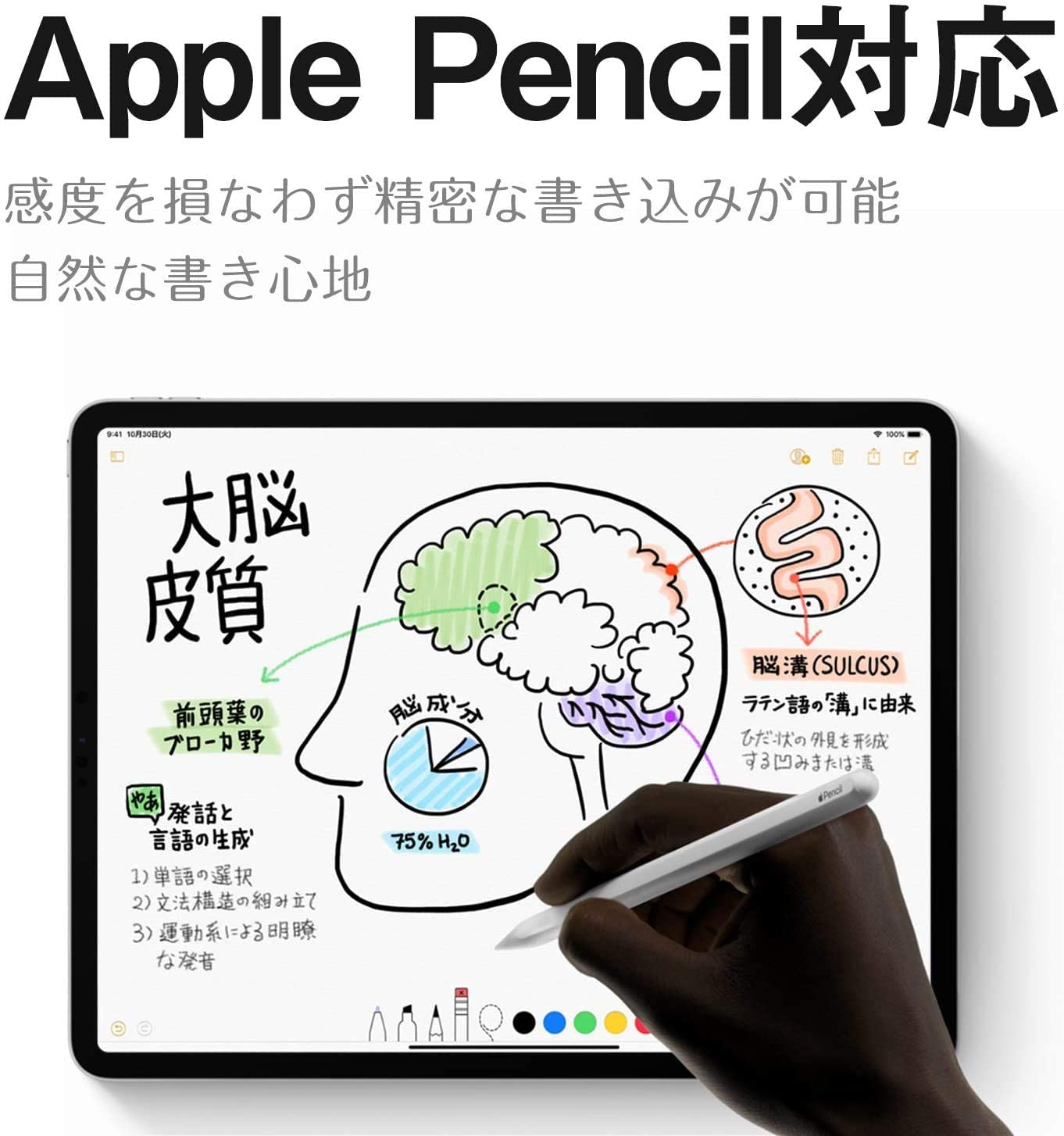 iPad Pro 11 インチ（2020/2018）用 ガラスフィルム – BEGALO JAPAN